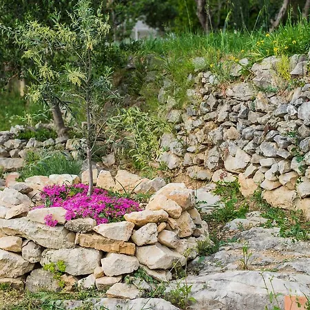 Karla * Ποντστράνα