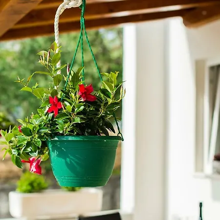 Karla Ποντστράνα